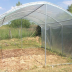 Abri tomates à pieds droits - Largeur 3m - 9 à 27m²