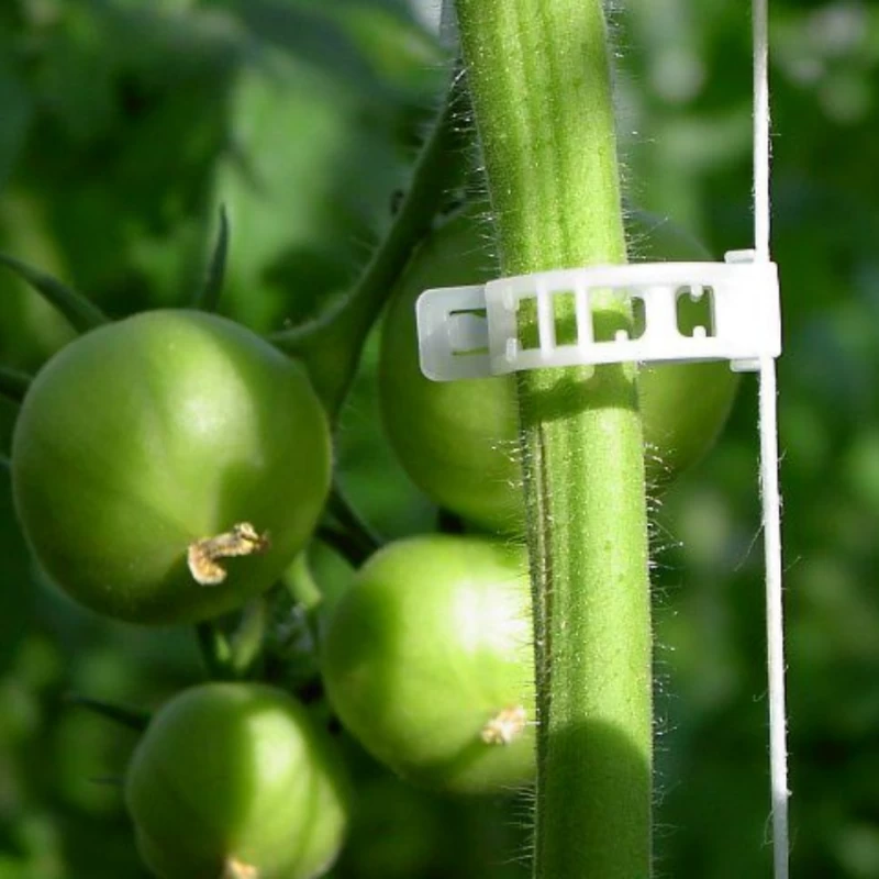 Clip pour tomates blanc - Ø23mm