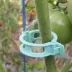 Clip biodégradable pour tomates - Ø22mm