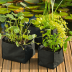 Sachets de plantation pour plantes aquatiques - Planting Bag