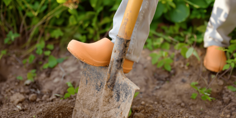 Quand et comment travailler la terre ?