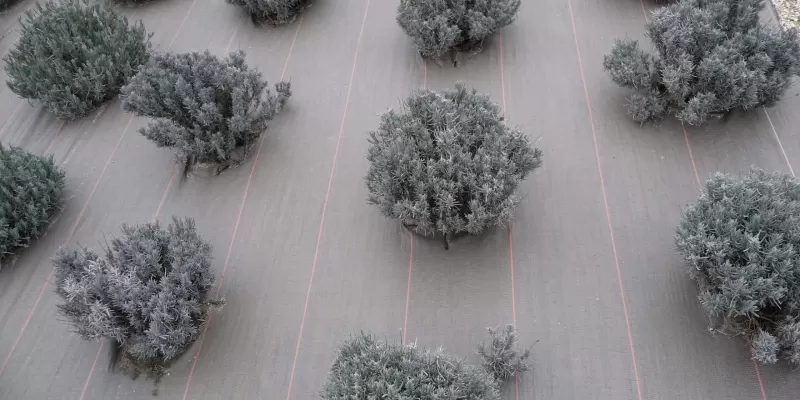 À quoi sert une toile de paillage ?