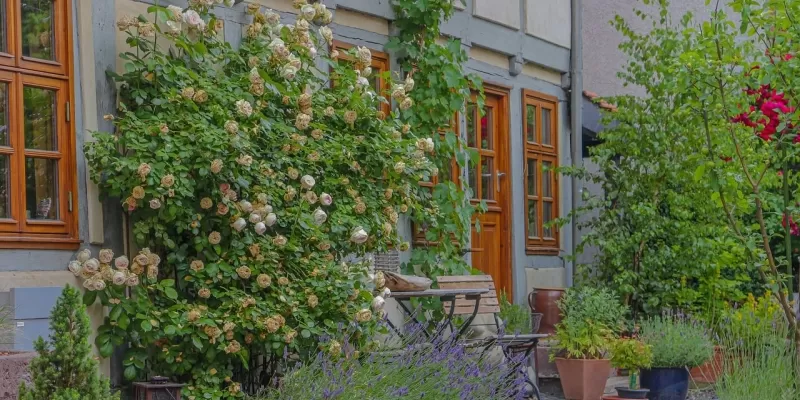 Aménager un petit jardin