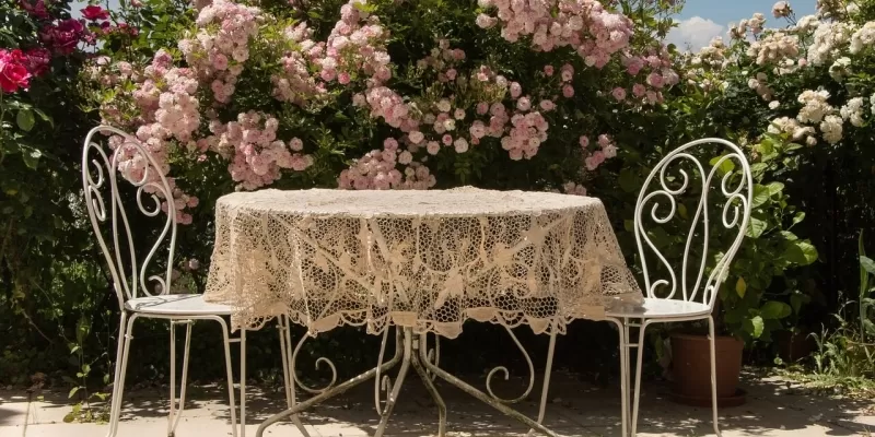 Aménager une haie de terrasse