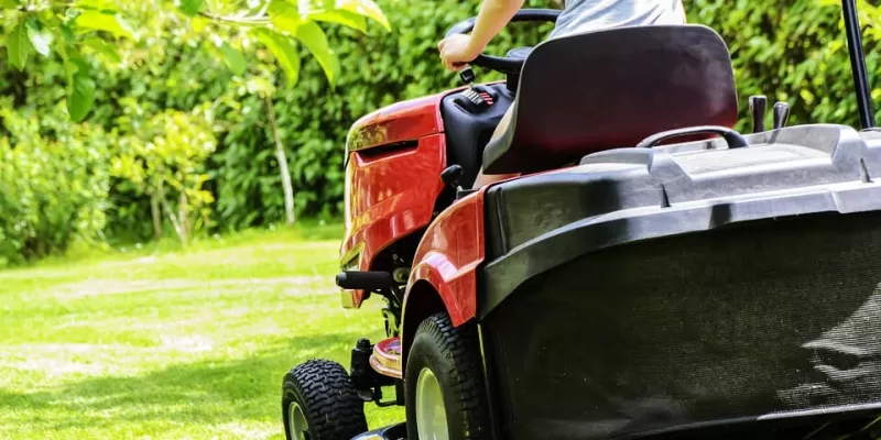 Comment vous occuper de votre pelouse à la fin du printemps ?