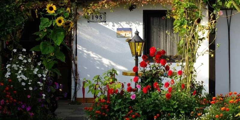 Comment aménager les plantes de votre jardin ?