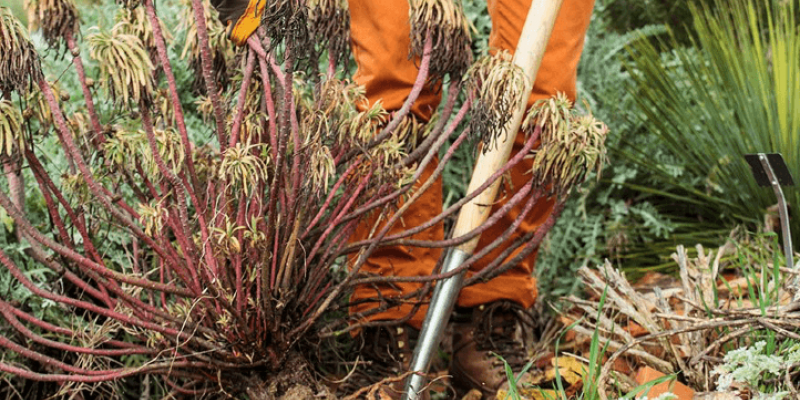 Entretien et nettoyage de printemps au jardin