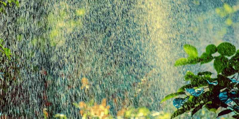 Lutter contre la chaleur au jardin