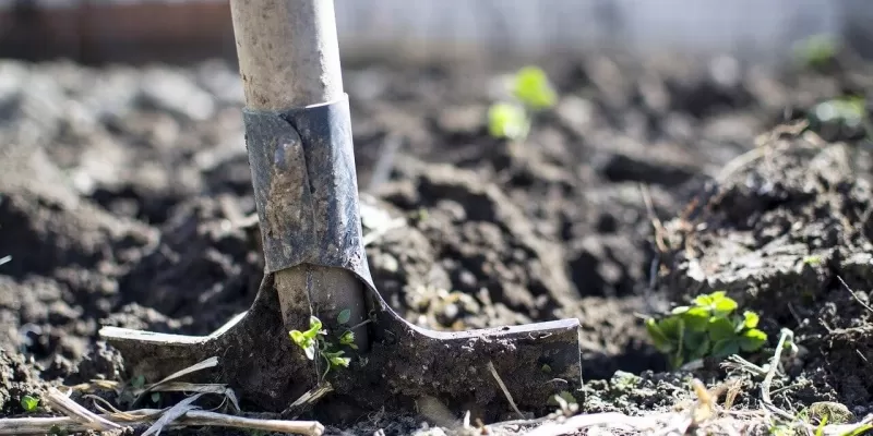 Planifier le potager en hiver