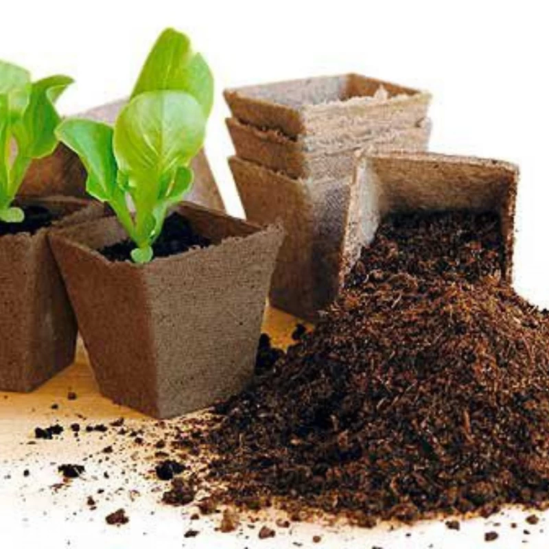 Pot carré biodégradable en tourbe - 6 à 8 cm