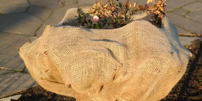 Protéger les plantes