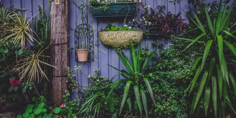 Quelles plantes mettre en pots dans votre jardin ?