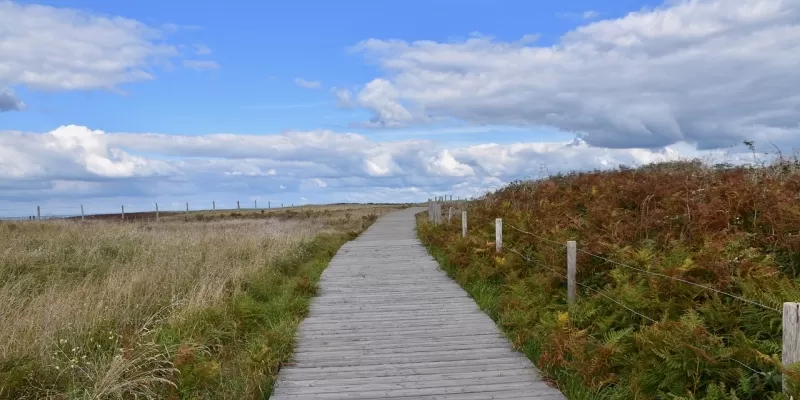 Faire une allée en bois