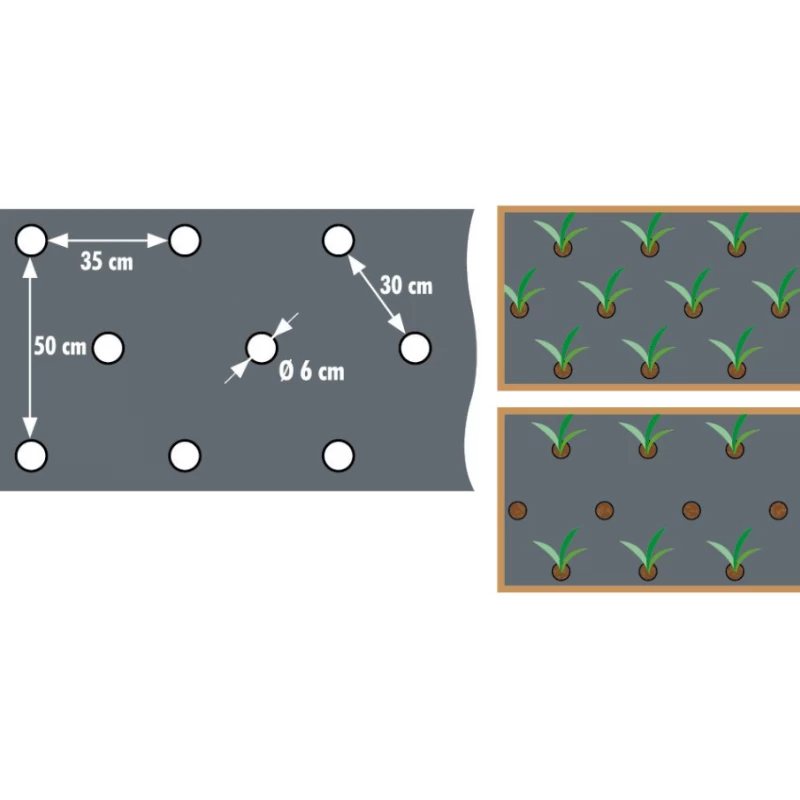 Film de paillage pour Salades 20µ - l. 0,95m - L. 5m