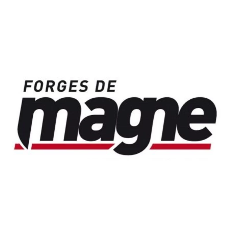 Arrache tout forgé avec manche