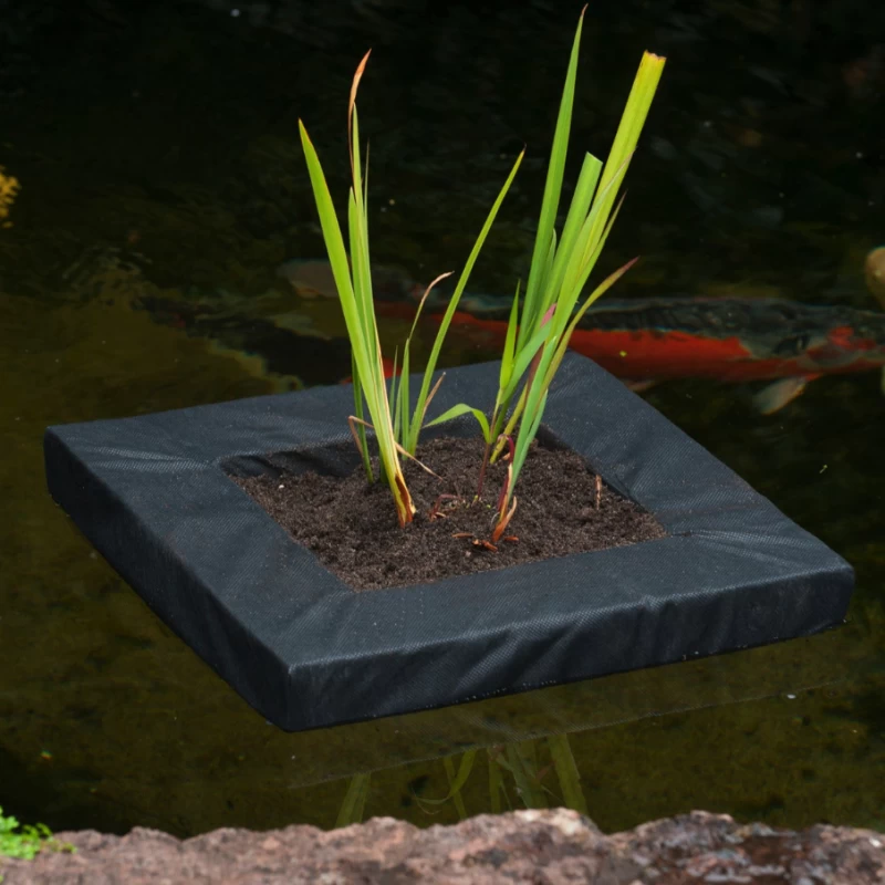 Île flottante pour plante aquatique