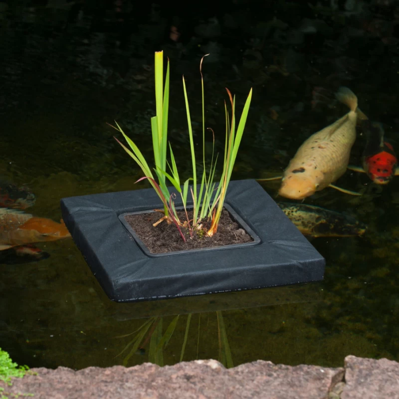 Île flottante pour plante aquatique