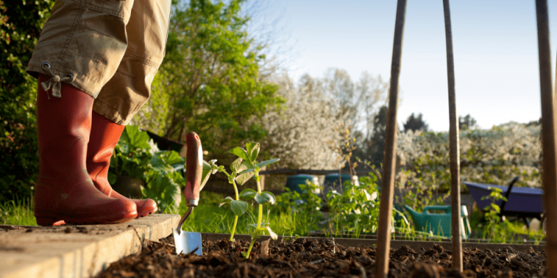 L’été au jardin