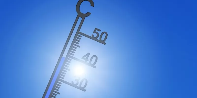 Canicule et sécheresse au jardin