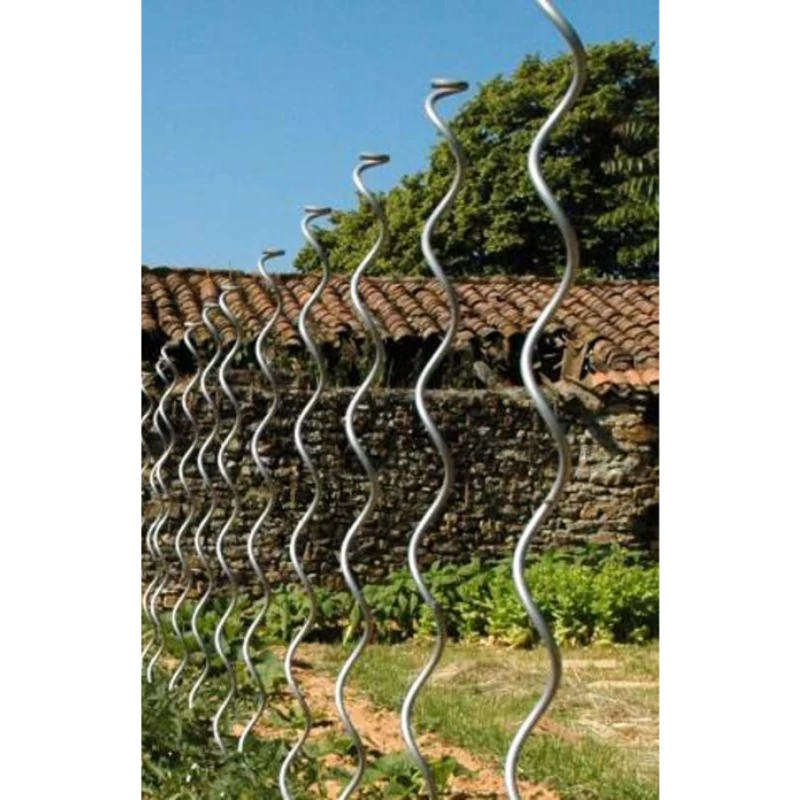 Tuteur spirale en acier galvanisé pour tomates - 180cm