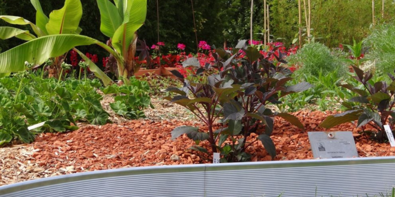 Comment installer une bordure de jardin en acier ou en aluminium ?