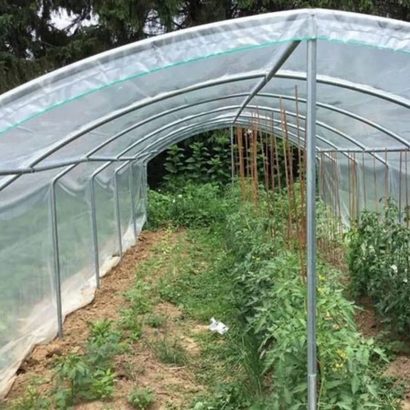 Abri tomates à pieds droits - Largeur 3m - 9 à 27m²