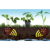 Activateur racinaire Quaterna pour potager - 200g