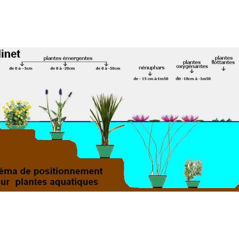 Sachets de plantation pour plantes aquatiques - Planting Bag