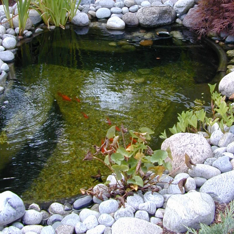 Bassin de jardin préformé - Start