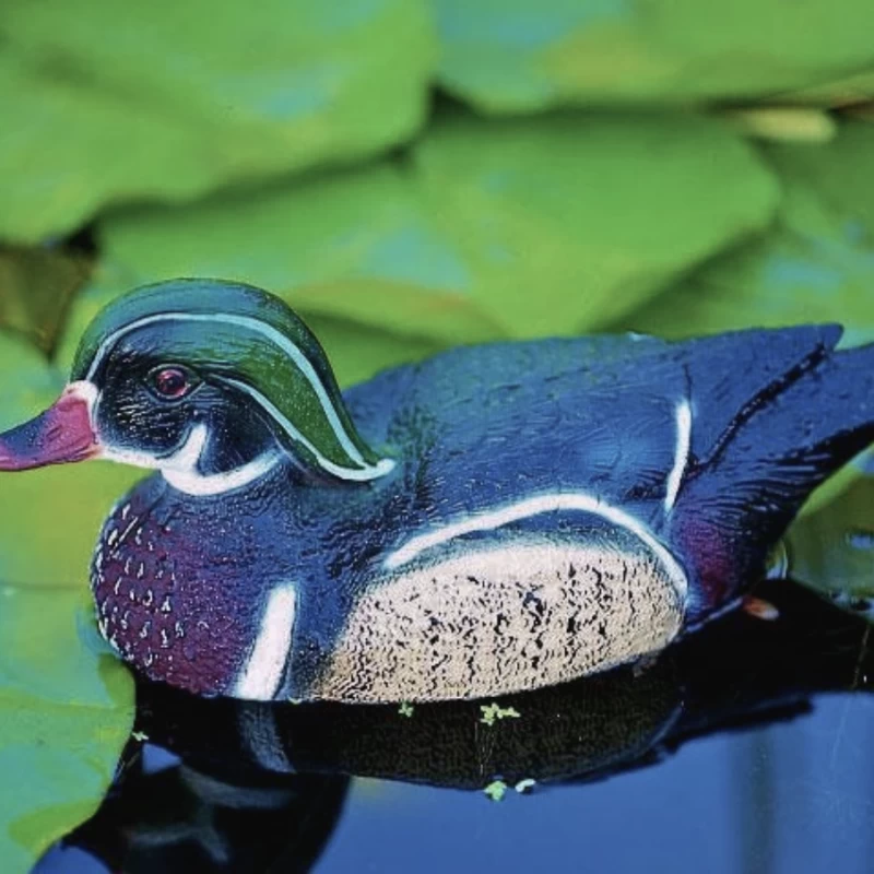 Canard Carolin décoratif