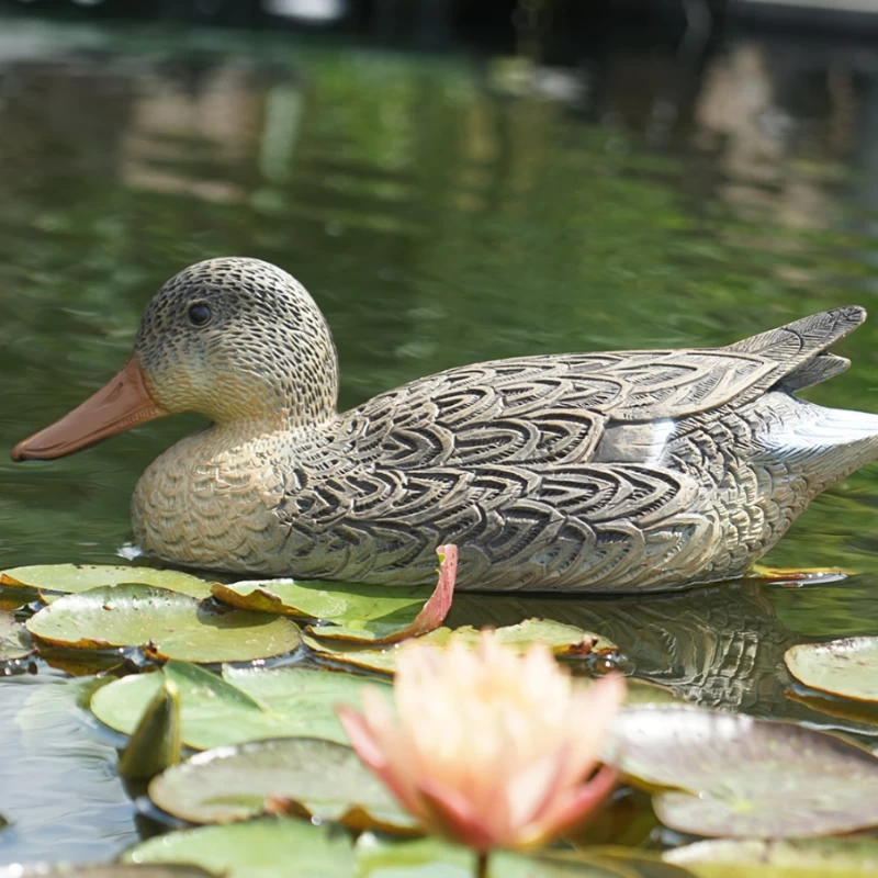 Canard Colvert décoratif