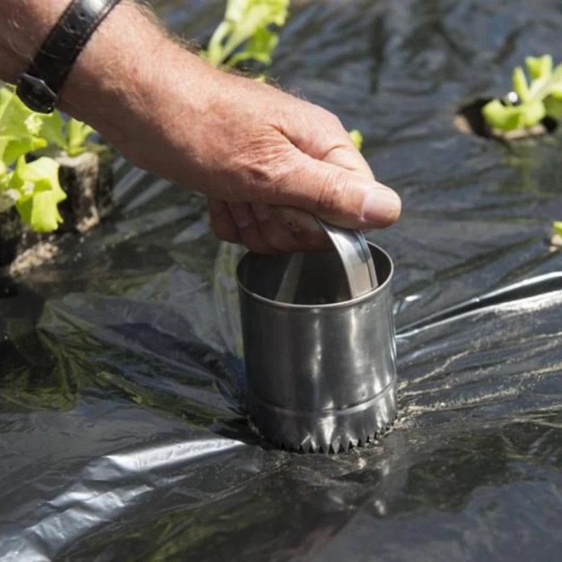 Cloche perforatrice pour film de paillage