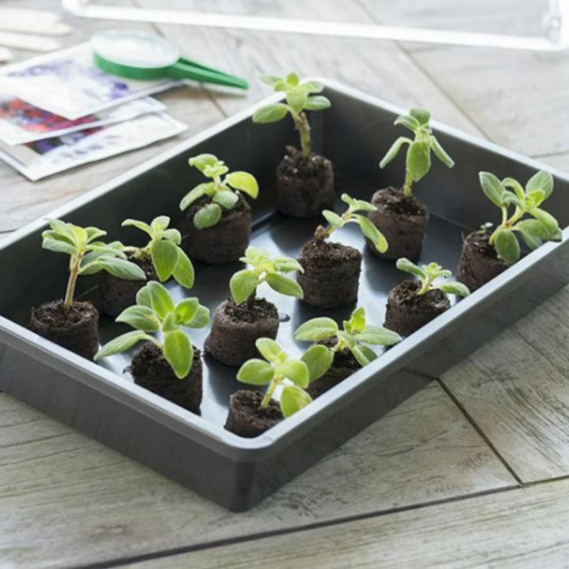 Couvercle pour terrine ou mini-serre de semis