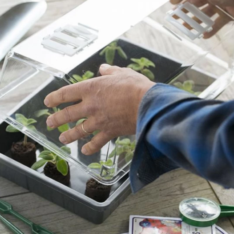 Couvercle pour terrine ou mini-serre de semis