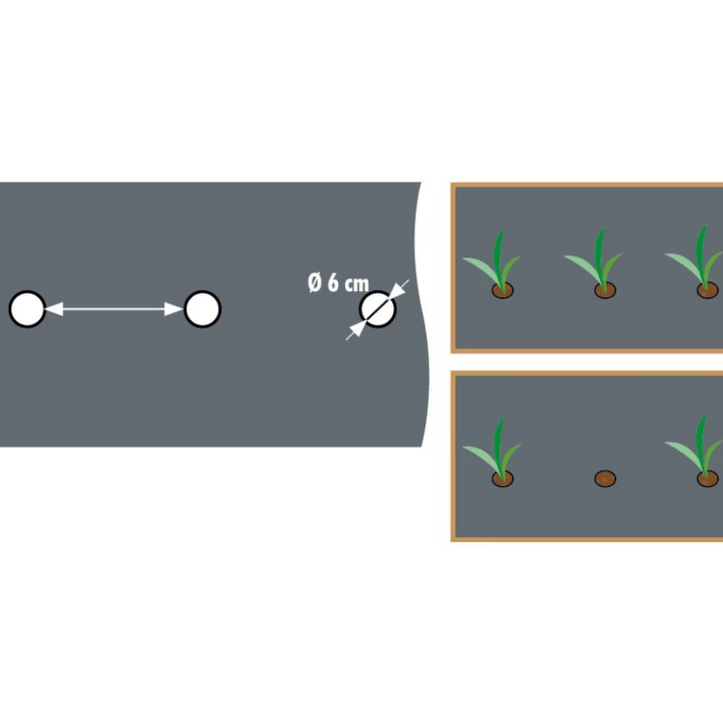 Film de paillage pour gros légumes 20µ - l. 0,95m - L. 10m