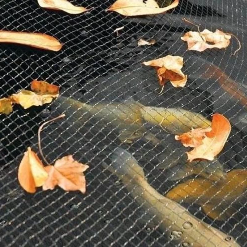 Filet anti-feuilles pour bassin et étang