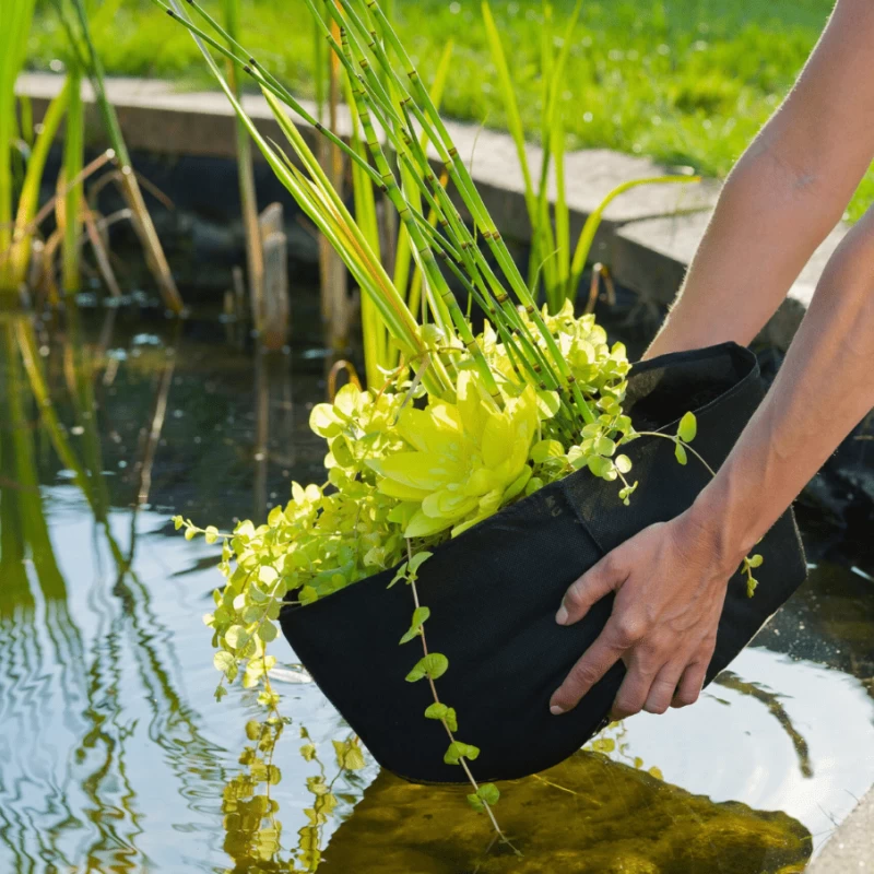 Sachets de plantation pour plantes aquatiques - Planting Bag