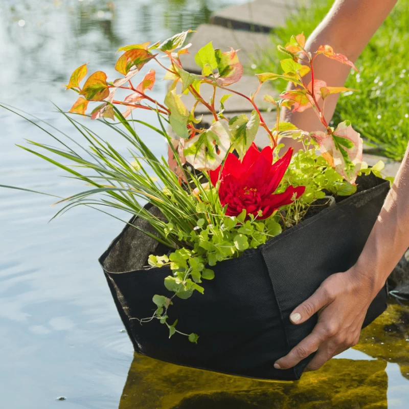 Sachets de plantation pour plantes aquatiques - Planting Bag