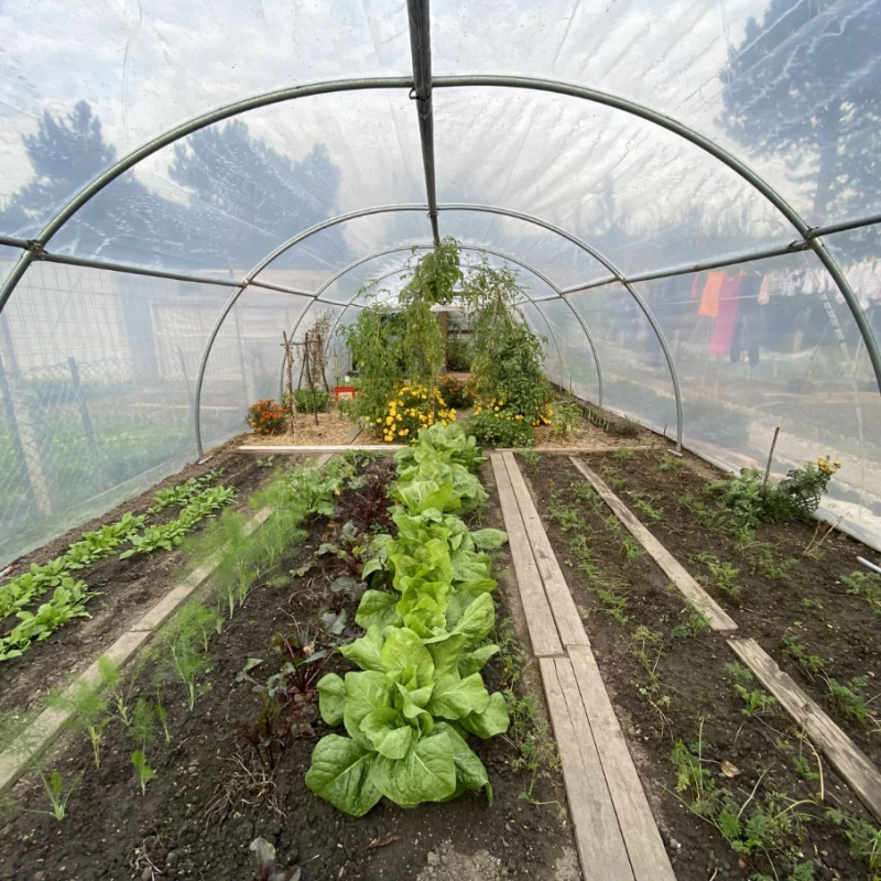 Serre Abri Légumes - Largeur 4m - 24 à 48m²