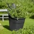 Chariot de jardin multi-usages - 65 litres