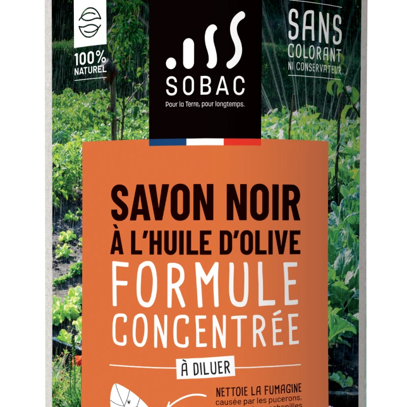 Savon noir concentré avec huile d'olive - 1L