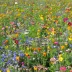 Jachère de fleurs Douce France - 400g