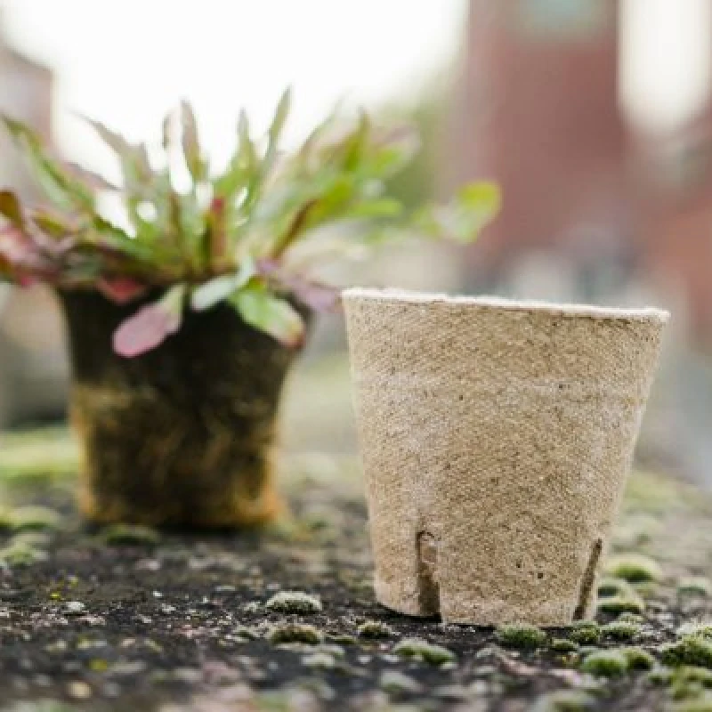 Pot rond biodégradable en tourbe - 6 à 17cm - Jiffy