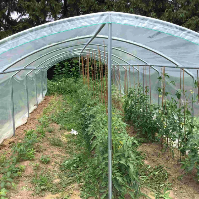 Abri tomates à pieds droits - largeur 3m - 9 à 27m²