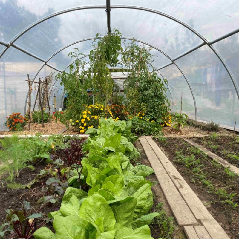 Abri tomates à forme arrondie - largeur 3m - 9 à 27m²