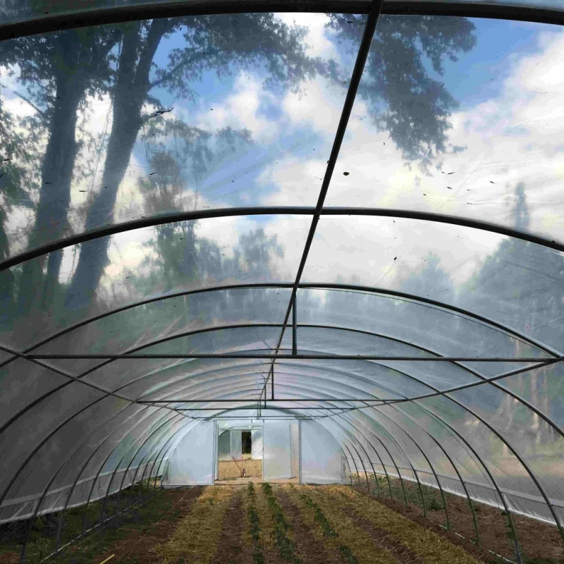 Serre tunnel Normandie avec aération - largeur 6.50m - 87 à 234m²