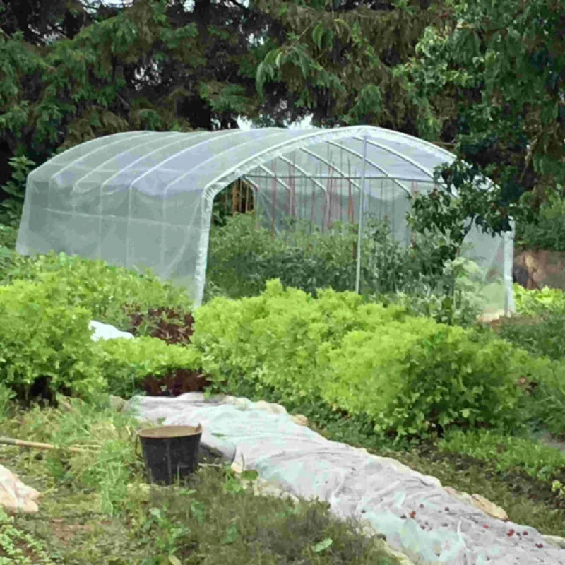 Abri tomates à pieds droits - largeur 3m - 9 à 27m²