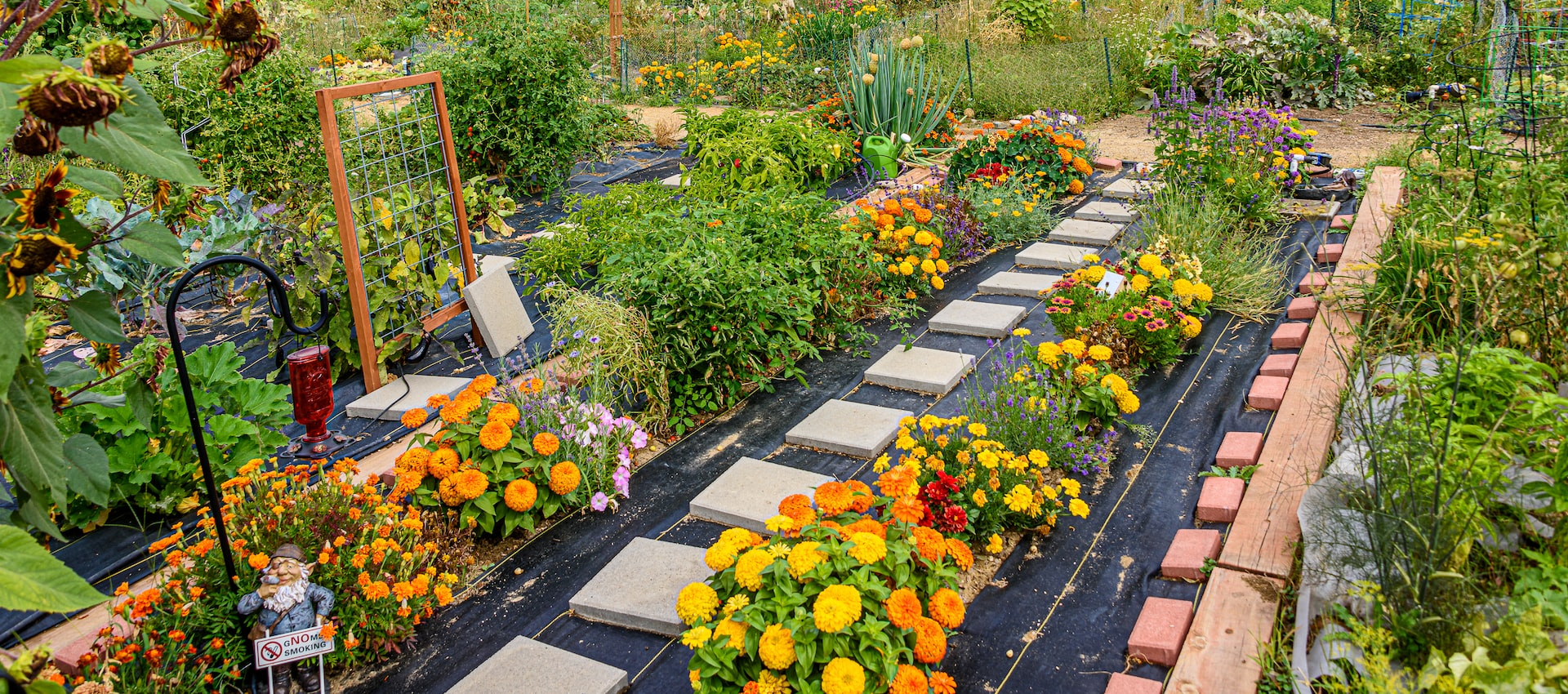 Jardinet - Équipez votre jardin au meilleur prix