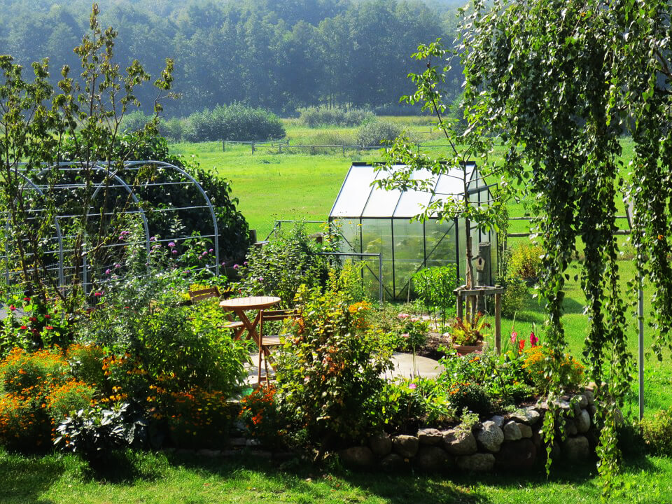 Installer des poissons dans votre bassin - Jardinet - Équipez votre jardin  au meilleur prix