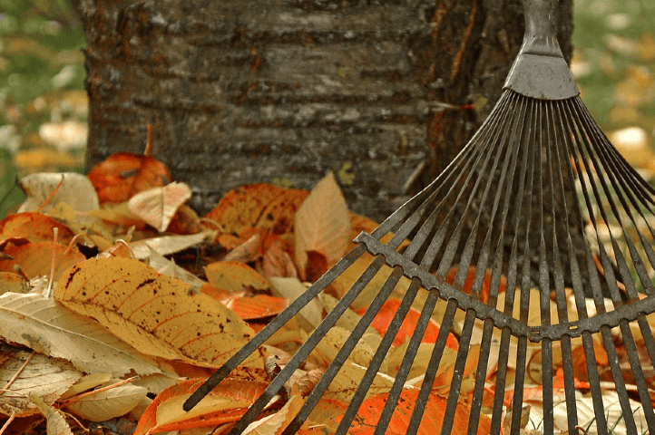 Ramasser les feuilles mortes sans se fatiguer 